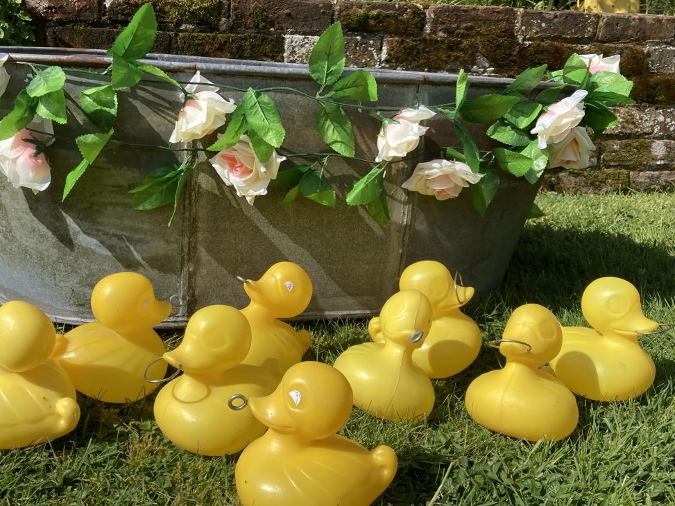Hook a Duck for Hire in Southampton
