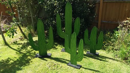 Wild west theme party cactus cacti hoopla