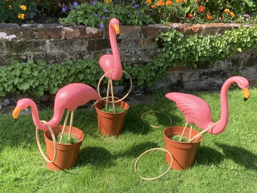 Pink Flamingo Hoopla hire for parties and events in Southampton area